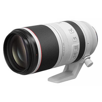 Read more about the article Canon RF 100-500mm F4.5-7.1 L IS USM 平行輸入